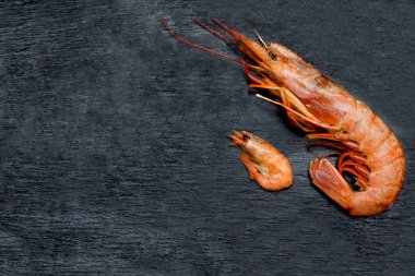 Çiğ büyük ve küçük taze karides, siyah kesilmiş karides servis tabağı, sağlıklı atıştırmalık deniz ürünleri, arka plan fotokopi alanı ile tasarım..