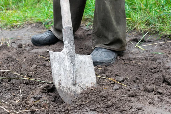 Férfi Kertészmunkás Ásott Zöldségkertben Lapáttal Farmer Ember Gumicsizmában Dolgozó Kéz — Stock Fotó