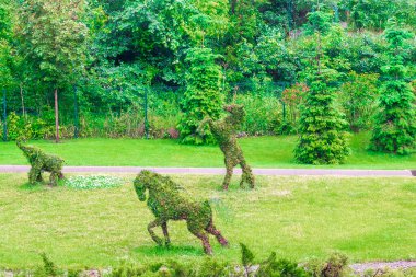 Bahçede güzel yeşil botanik manzara tasarımı, ağaçlı şehir parkı, farklı hayvan şekilli çalılar, taze çimenler. Sahne yaz bahçıvanlığı arka plan, konsept.