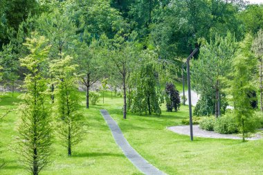 Bahçede güzel yeşil botanik manzara tasarımı, ağaçlarla, çalılarla ve banklarla dolu şehir parkı, taze çimenler. Sahne yaz bahçıvanlığı arka plan, konsept.