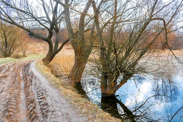 Inundación, derrame de agua en el suelo en un campo arado después de la lluvia en primavera otoño en el campo, camino rural del pueblo con árboles. cambios climáticos ambientales — Foto de Stock