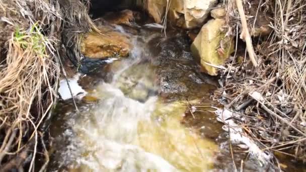 Creek Stream Flow Spring Sewage Water River Mountains Sewage Treatment — Vídeo de Stock