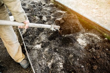 Erkek bahçıvan elinde kürekle sebze bahçesini kazıyor. Lastik çizmeli bir çiftçi. Siyah toprak, toprak, çimen, tarım işleriyle uğraşıyor. Sonbahar bahar bahar temizliği.