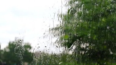 İçerideki arabanın penceresinden yağmur damlalarının camlara düşüşünü, yazın arka planda kalan bulanık ağaçları görüyorum.