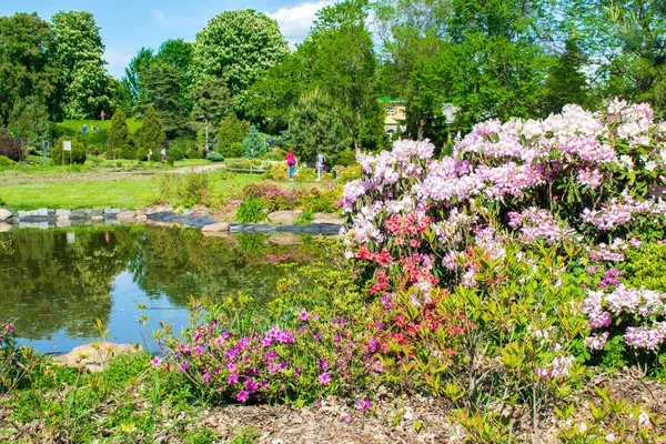 Hermoso Diseño Paisaje Botánico Verde Jardín Con Piscina Pequeña Estanque — Foto de Stock