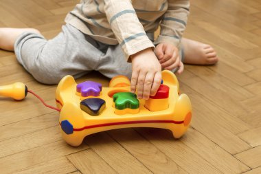 Kafkasyalı şirin bir çocuk oynuyor, çok renkli tasnifçi topluyor. Bebeğin elleri plastik oyuncakları ayırıyor. Çocukların mantık gelişimi, çocuk yuvası eğitimi, anaokulu kavramı.