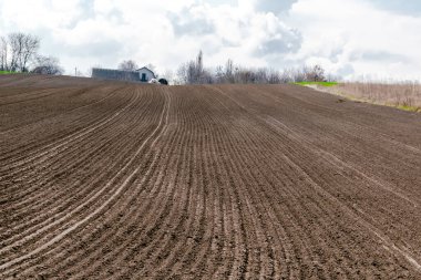 Toprağı sürmüş tarlalar tohum ekme ve ekme işlemi için hazır. Yeni sürülmüş tarlalar. Güneşli kırsal alan.