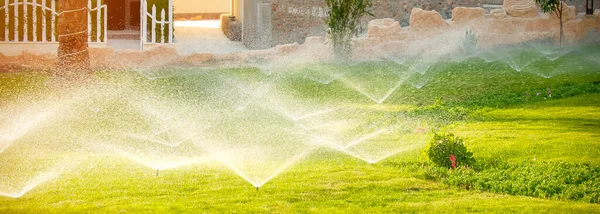 Water Sprinkler Spraying Green Fresh Grass Lawn Flower Bed Garden — Foto de Stock