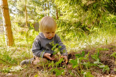 Çilek tohumu eken tatlı çocuk, organik bahçede toprak, orman. Tarım, tarım, ekoloji, çevre dostu, tarım, yaz konseptinde komik çocukluk..