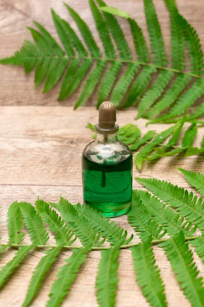 green fern plant branches and perfume oil bottle scent, natural eco organic cosmetics beauty product, selfcare concept with copy space. wooden background.