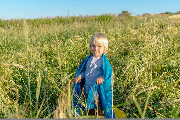 Elinde buğday tarlasında Ukrayna ulusal mavi bayrağı taşıyan şirin çocuk çocuğu. Savaş, Rusya ile Ukrayna arasında askeri işgal. Bağımsızlık, Bayrak, Anayasa, Kiev Günü.