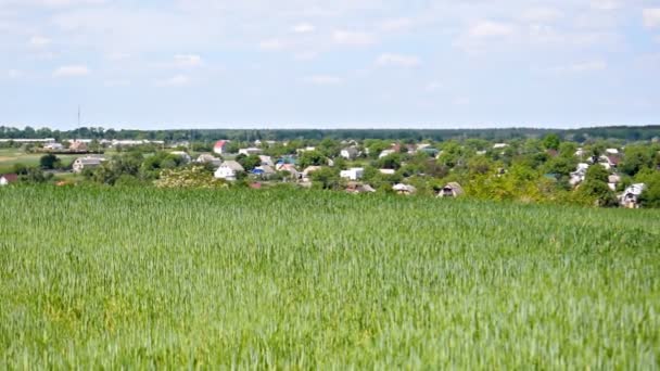 Вид Воздуха Сельскую Местность Старинную Украинскую Деревню Окруженную Сельскохозяйственным Полем — стоковое видео