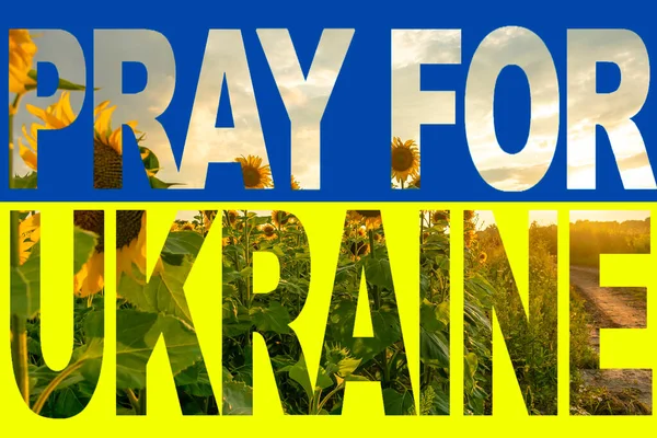 Моліться Україну Жовтими Блакитними Кольорами Прапора Підписаними Полі Красивих Соняшників — стокове фото