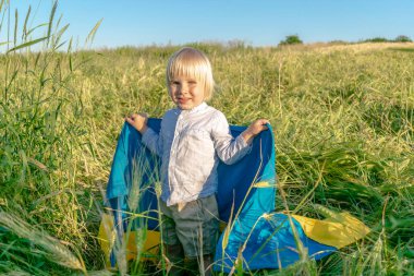 Elinde buğday tarlasında Ukrayna ulusal mavi bayrağı taşıyan şirin çocuk çocuğu. Savaş, Rusya ile Ukrayna arasında askeri işgal. Bağımsızlık, Bayrak, Anayasa, Kiev Günü.