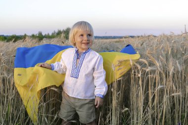 Süslü gömlekli, elinde Ukrayna ulusal mavi bayrağını buğday tarlasında taşıyan sevimli küçük çocuk çocuğu. Askeri Rus istilası. Ukrayna Bağımsızlık, Bayrak, Anayasa, Kiev Günü.
