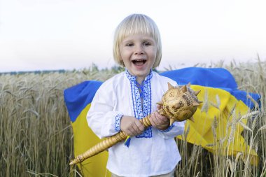 Cute little happy smiling child kid boy in embroidered shirt holding,carrying ukrainian national blue yellow flag,mace symbol in wheat field.Ukraines Independence,Flag,Constitution,Kiev day.