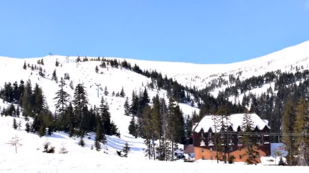 Inverno Belle Montagne Panoramiche Panorama Naturale Sulla Stazione Sciistica Carpazi — Video Stock