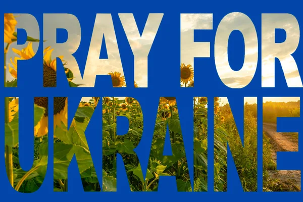 Pray Ukraine Text Yellow Blue Flag Colors Signed Field Beautiful — Stock fotografie