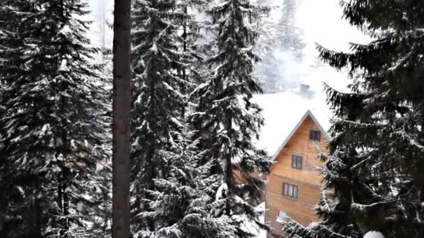 ウクライナのカルパチアの風景スキー場で降る雪の上に冬の美しい景色の山々の自然のパノラマ 森の松の木 木造ホテル 冬のスポーツ 屋外活動 — ストック動画