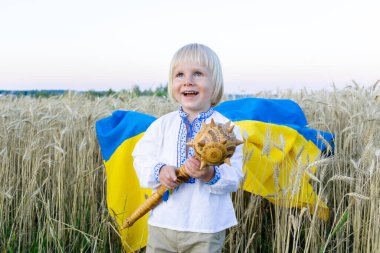 Cute little happy smiling child kid boy in embroidered shirt holding,carrying ukrainian national blue yellow flag,mace symbol in wheat field.Ukraines Independence,Flag,Constitution,Kiev day.
