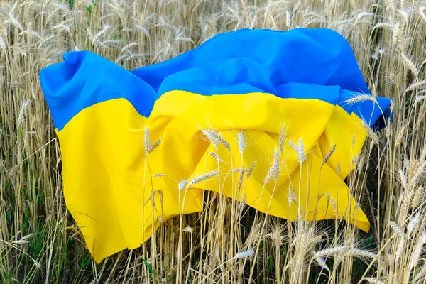 Ukrajinské Národní Modré Žluté Barvy Vlajky Ležící Pšeničném Poli Vojenské — Stock fotografie