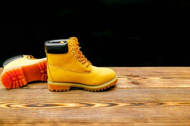 Yeni güzel, kahverengi, sıcak dağ kadınları Timberland ayakkabı, bot, spor ayakkabı, spor ayakkabı logosu ahşap zeminde. Günlük ayakkabı konsepti..