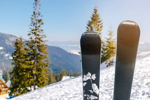 雪の丘の山のスキーのクローズアップペア 冬の高山スキーリゾート 極端なスポーツの休日と美しい冬のカルパチア山脈のパノラマの景色 屋外の自然景観 ウクライナ ヨーロッパ — ストック写真