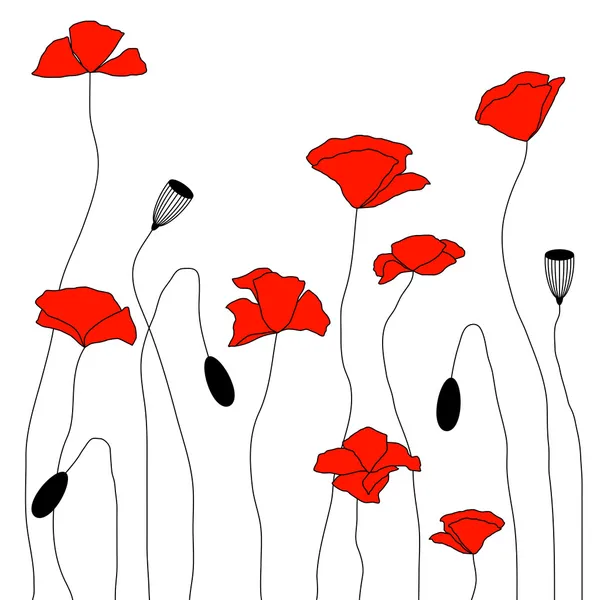 Amapolas rojas — Vector de stock