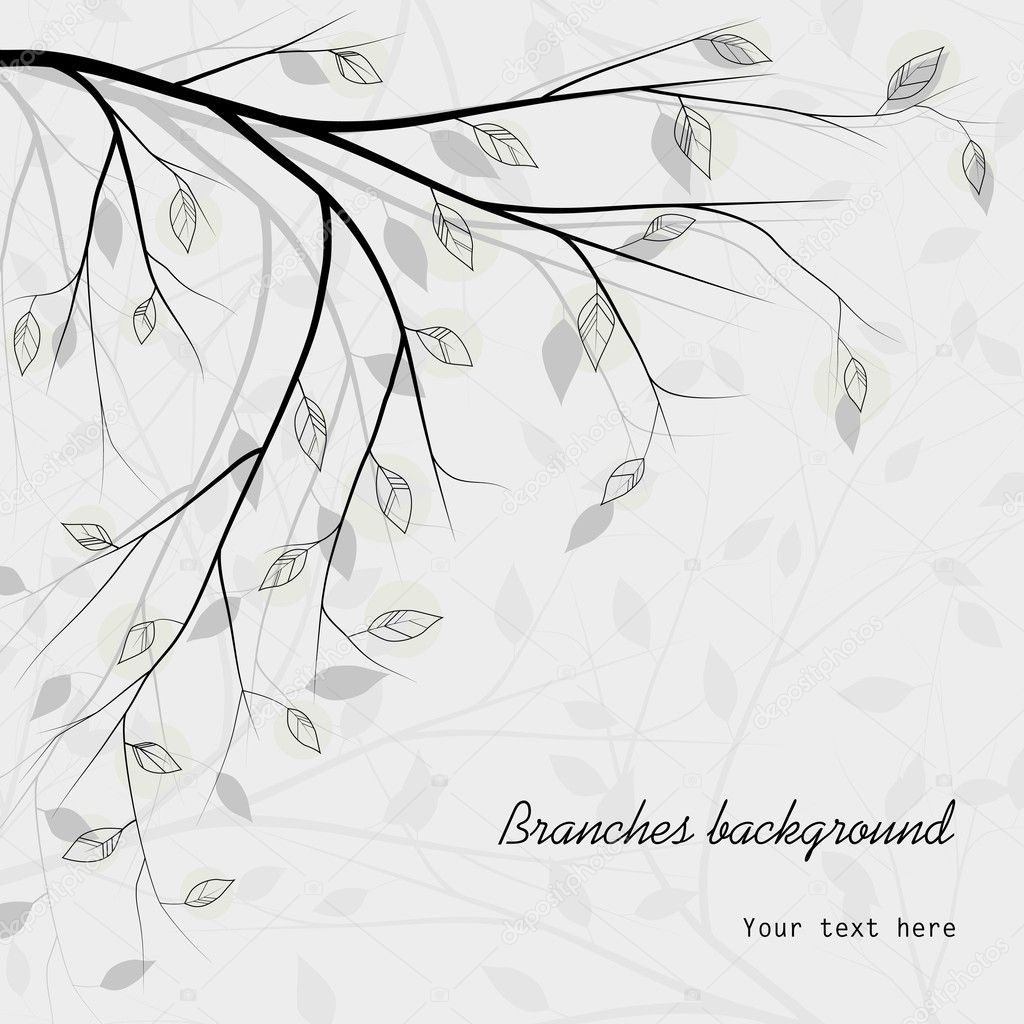 Tree branches background
