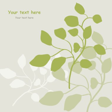 nazik kartla birlikte yeşil dallar