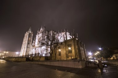 lateral görünüm leon Katedrali smog gecede, leon, İspanya