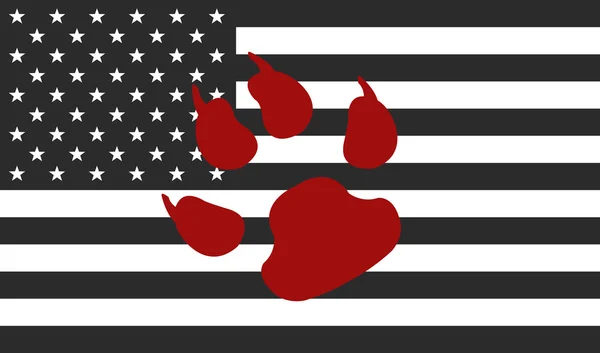 美国国旗和一条狗爪子戳 — 图库照片