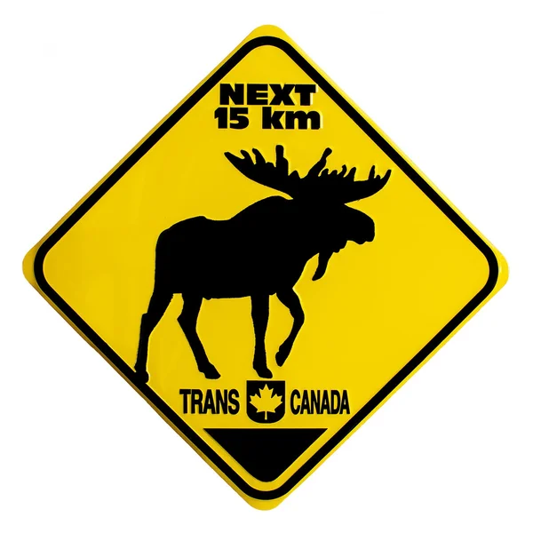 Moose Crossing dopravní značka — Stock fotografie