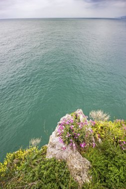 Sahil buciero Dağı santona, cantabria, İspanya