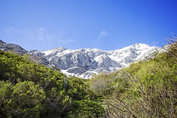 Espiguete peak in the mountains of Palencia, Castilla-Leon, Spai — Stock Photo, Image