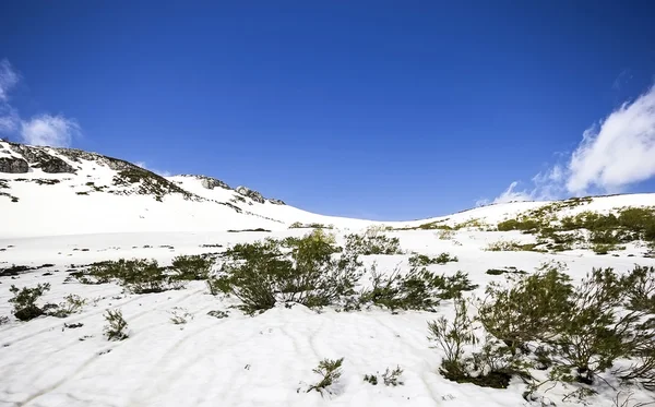 Montaña nevada cerca de la estación de esquí de San Isidro, León, Casti —  Fotos de Stock