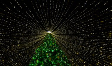 Çelenkleri olan güzel bir Noel ağacı