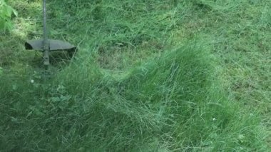 Çim biçme makinesi çimenleri biçiyor.