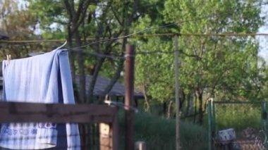 Güvercin uçar ve güvercine doğru uçar.