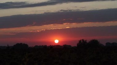 red sunset, sky with timelapse clouds, wildlife