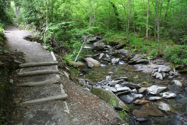 Alun cave bluff trail — Stockfoto