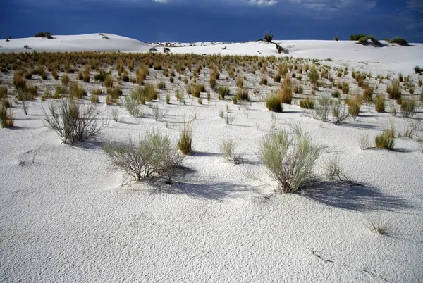 Schilderachtige witte zand landschap — Stockfoto