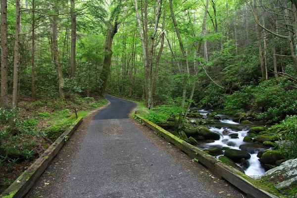 Scenic Auto Trail — Stock Photo, Image