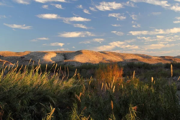 Paisaje escénico del desierto — Foto de Stock