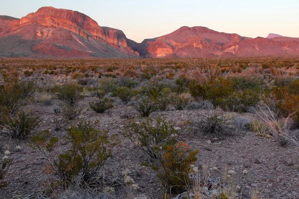 Burro Mesa Pouroff Entrance in Distance — Stock Photo, Image