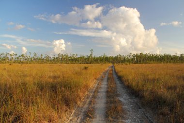 Everglades yürüyüş iz