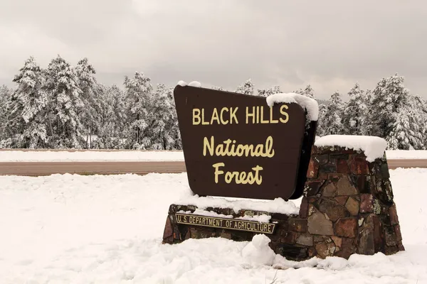 Black Hills National Forest Setembro Sinal Marca Ponto Acesso Floresta — Fotografia de Stock