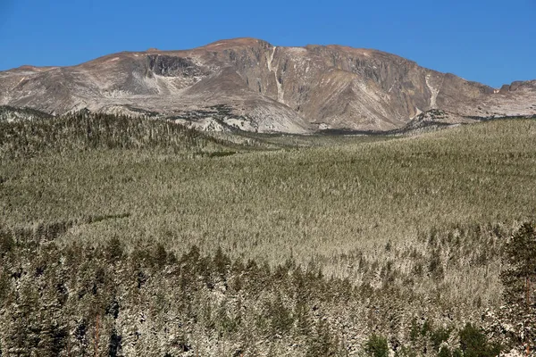 怀俄明州Bighorn国家森林Bighorn Peak — 图库照片