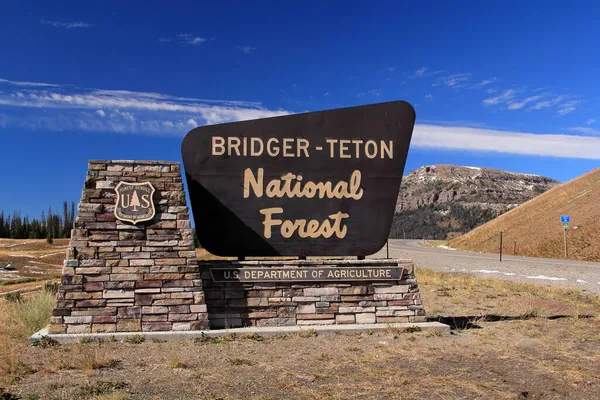 Bridger Teton National Forest Oferece Algumas Das Paisagens Mais Bonitas — Fotografia de Stock