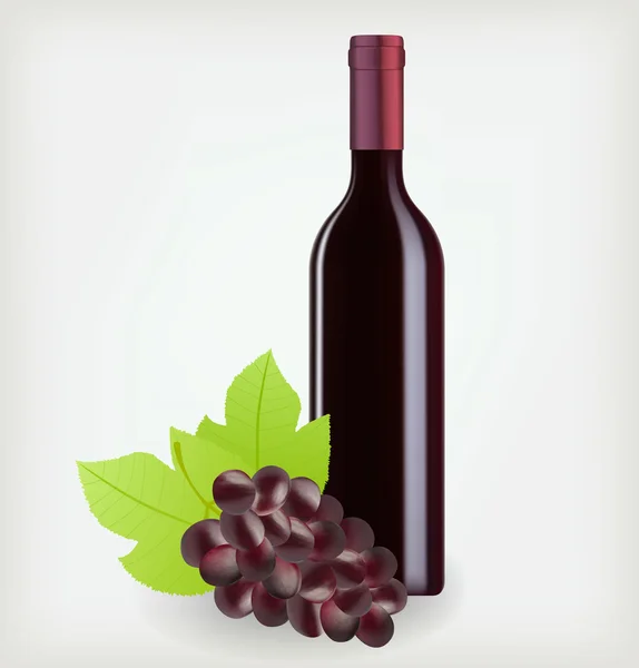 Flaska vin med druvor — Stock vektor